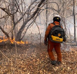 MT adota medida para intensificar combates de incêndios florestais