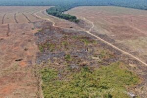 Produtor rural vai pagar R$ 7 milhões por desmatamento