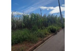 Ação da Prefeitura de Chapadão do Sul convoca população para a limpeza de lotes baldios
