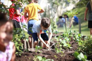 Agricultura urbana transforma paisagem cinza de São Paulo no aniversário de 470 Anos