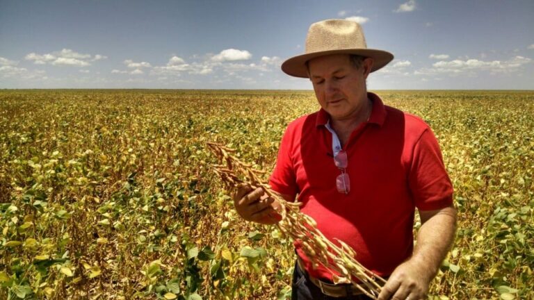 pesquisa, produtor de soja