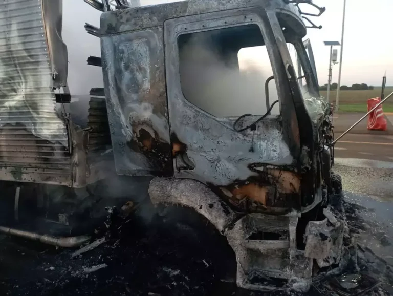 Caminhão com alimentos é destruído por fogo na MS-306