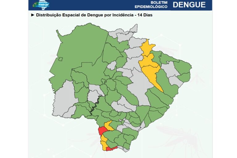 Chapadão do Sul está entre os nove municípios com maior número de incidência de dengue no estado