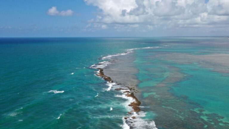Conheça a paisagem natural fascinante da Costa dos Corais em Alagoas