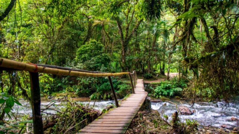 Conheça os paraísos naturais do Vale do Ribeira