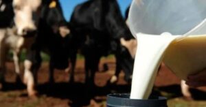Fazenda remaneja R$ 707 mi em crédito para ajudar produtores de leite