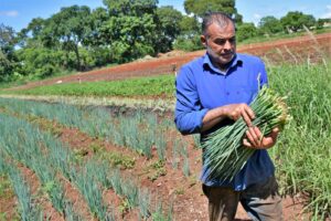 Hortas urbanas virou negócio para quem saiu do campo, mas ama trabalhar com a terra