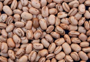MG distribui sementes de feijão para agricultores afetados pela seca