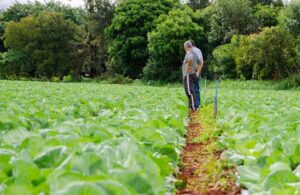 Nova política industrial prevê R$ 20 bi para mecanização da agricultura familiar