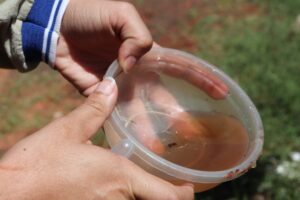 Prefeitura faz mutirão de combate à Dengue em bairro com alto índice de infestação