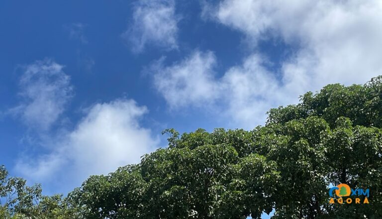 Previsão de Sol com muitas nuvens e possíveis pancadas de chuva para Coxim nesta quarta