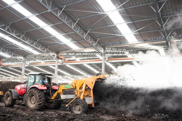 Uso de adubos orgânicos pode reduzir dependência de fertilizantes importados, diz especialista