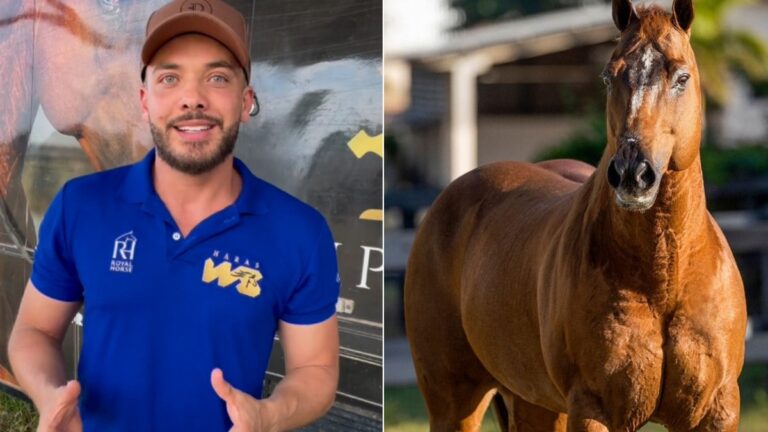 Wesley Safadão é dono do 2º cavalo mais caro do Brasil; saiba o valor