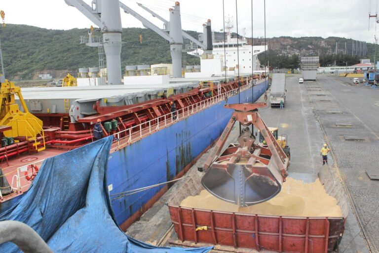 Arroz em casca: importações atingem maior volume em 19 anos, diz Cepea