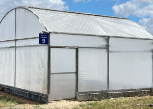 Câmaras térmicas impulsionam produtividade da mandioca