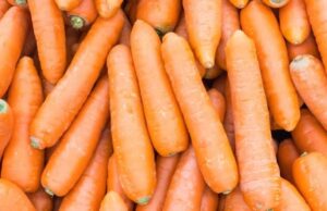 Cenoura é destaque de alta de preço entre hortaliças no atacado, mostra Conab