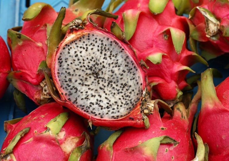 Cidade brasileira inclui a pitaya na alimentação escolar