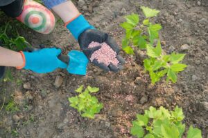 Fertilizantes: empresa ganha licença para instalação de projeto de R$ 340 mi na Bahia