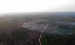 Incêndios: área atingida no Brasil cresce 248% em relação a janeiro de 2023