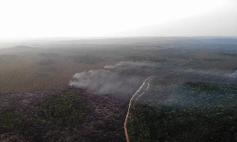 Incêndios: área atingida no Brasil cresce 248% em relação a janeiro de 2023