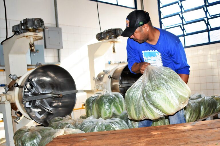 Prefeitura abre inscrições para produtores familiares participarem do Programa de Aquisição de Alimentos