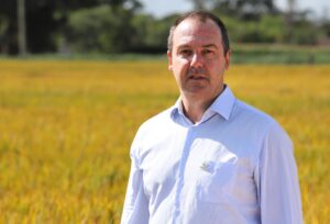 Produtor precisa priorizar manutenção da área no RS, diz presidente da Federarroz