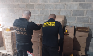 Risco à saúde: operação apreende 5 toneladas de mel adulterado