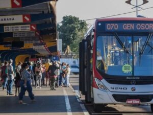 Senado recorre a decisão do STF sobre transporte público gratuito nas eleições