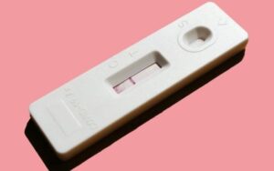 Testes da dengue | Como funcionam e quando fazer