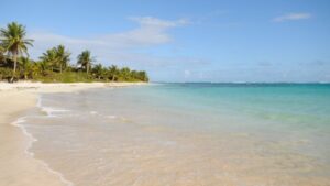 2 praias deslumbrantes em Alagoas para conhecer