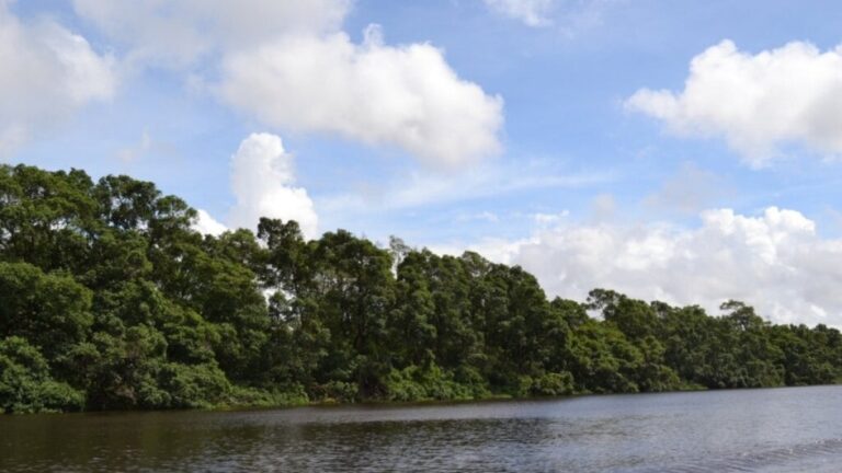 4 dicas para curtir as férias no Maranhão