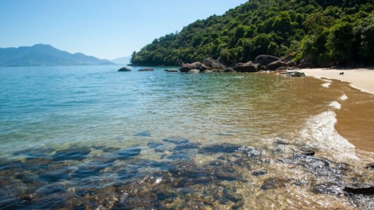 4 passeios imperdíveis para fazer na Ilha Grande