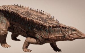Ancestral dos crocodilos de 215 milhões de anos tinha armadura blindada