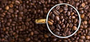 Café: exportação mundial em janeiro aumenta 32%, para 12,62 mi de sacas, diz OIC