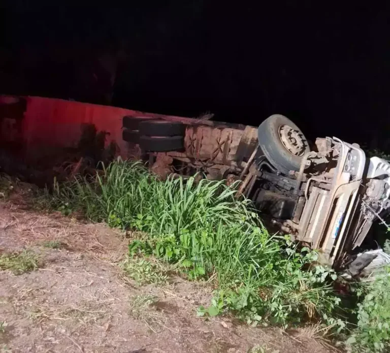 Caminhão com 100 bovinos tomba e motorista morre
