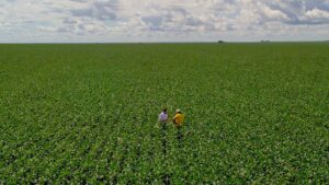 Confiança de produtores rurais dos EUA aumenta em fevereiro, segundo indicador