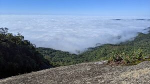 Dia do Turismo Ecológico: 4 dicas de passeios por Monte Verde (MG)