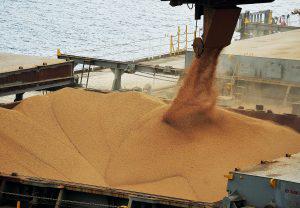 Exportações brasileiras de soja e trigo crescem no 1º trimestre
