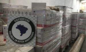 Fraude milionária de azeite: mais de 104 mil litros adulterados são apreendidos