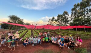 Horta inaugurada no Núcleo Industrial vai fornecer alimentos para kits de verduras distribuídos pelo FAC
