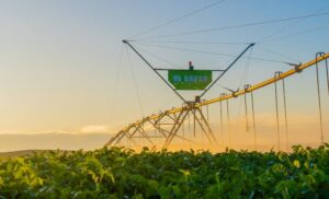 Irrigação: empresa brasileira vai se expandir para Argentina, Uruguai, Paraguai, Peru e Bolívia