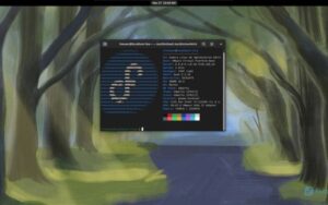 Linux Fedora 40 Beta é liberado com GNOME 46