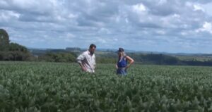 Município quase dobra produtividade de soja em 10 anos