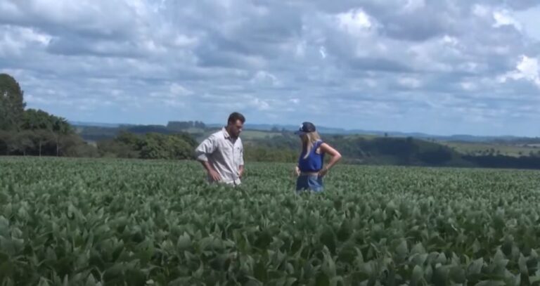 Município quase dobra produtividade de soja em 10 anos