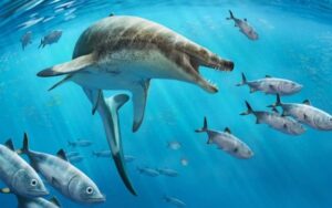 Nova espécie de mosassauro com dentes de adaga é achada no Marrocos