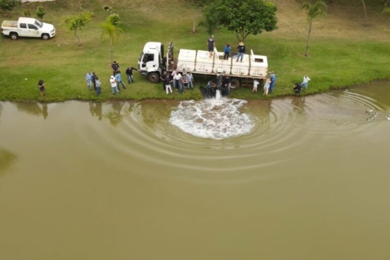 Parques Antenor Martins e Rego D’Água recebem mais de 3,5 toneladas de peixes para Semana Santa