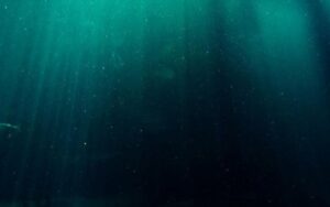 Por que o sangue fica verde no fundo do mar?