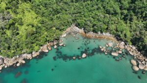 Saco das Taquaras: prainha deserta é paraíso escondido em Ubatuba