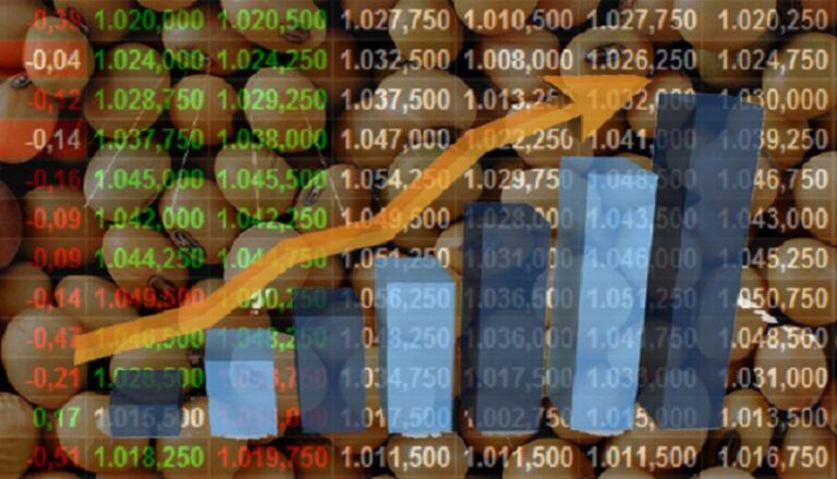 Soja volta a testar US$ 12 em Chicago após corte da Conab