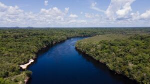 3 dicas do que fazer ao visitar o Amazonas